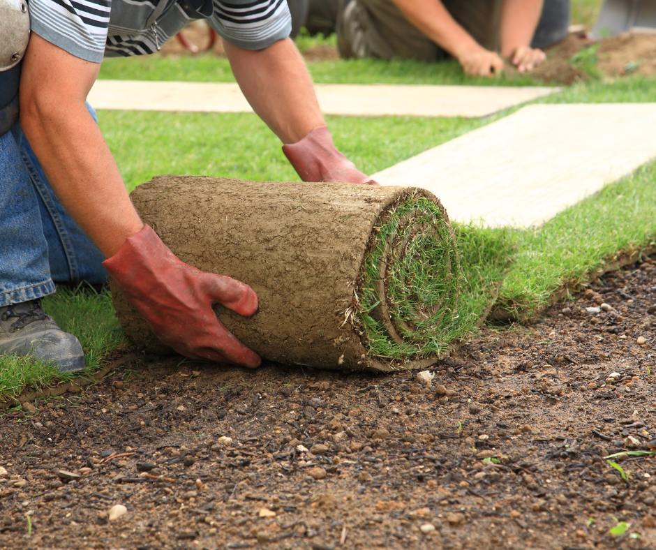 Landscaping & Garden Design Services in Falkirk | Expert Garden Designers
